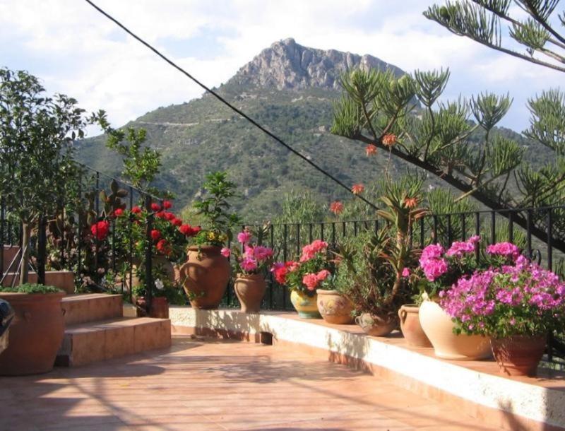 Laura Las Flores Calpe Exteriör bild